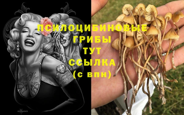 гидра Магадан