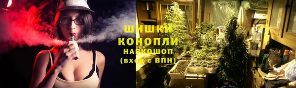 MESCALINE Майский