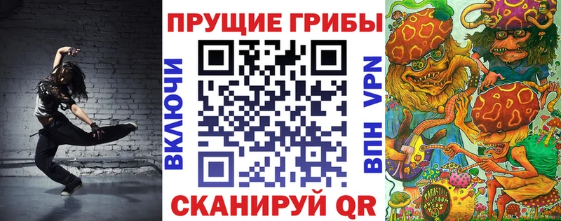 Купить где  Курчатов  Псилоцибиновые грибы Cubensis 